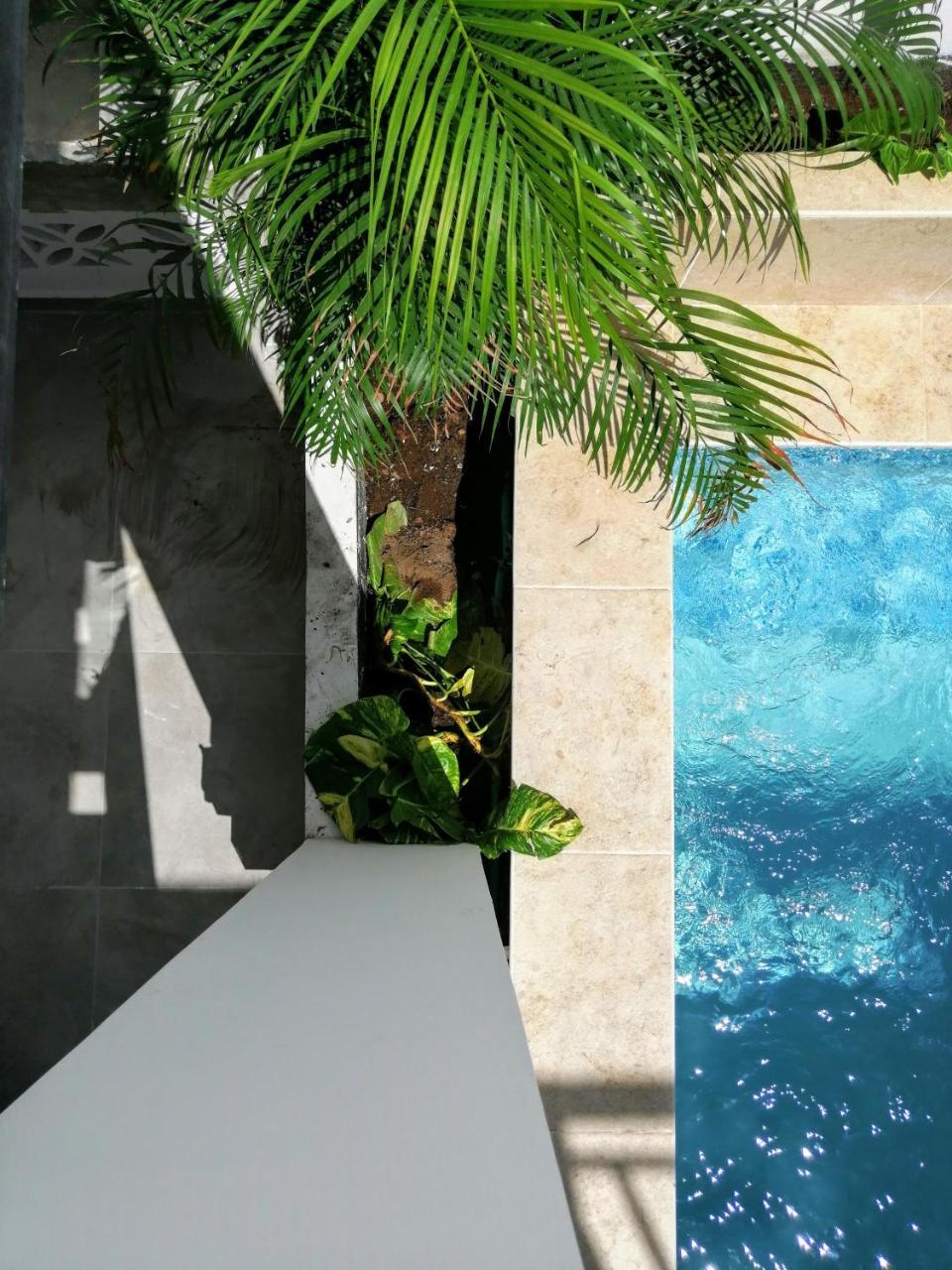 Bona Vida Hostel Riohacha Exterior photo